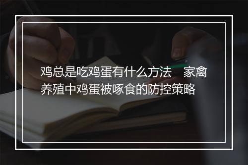 鸡总是吃鸡蛋有什么方法　家禽养殖中鸡蛋被啄食的防控策略