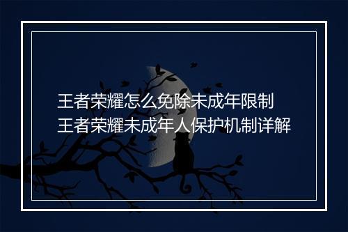 王者荣耀怎么免除未成年限制　王者荣耀未成年人保护机制详解