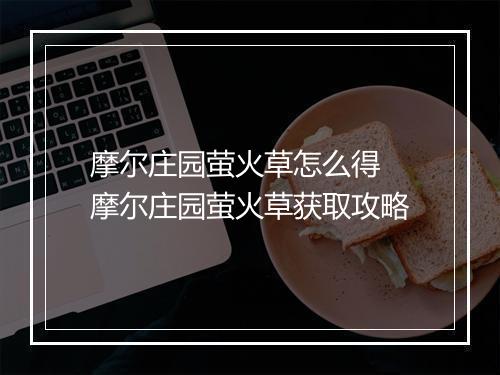 摩尔庄园萤火草怎么得　摩尔庄园萤火草获取攻略