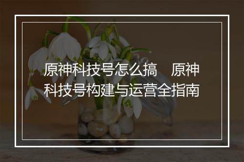 原神科技号怎么搞　原神科技号构建与运营全指南